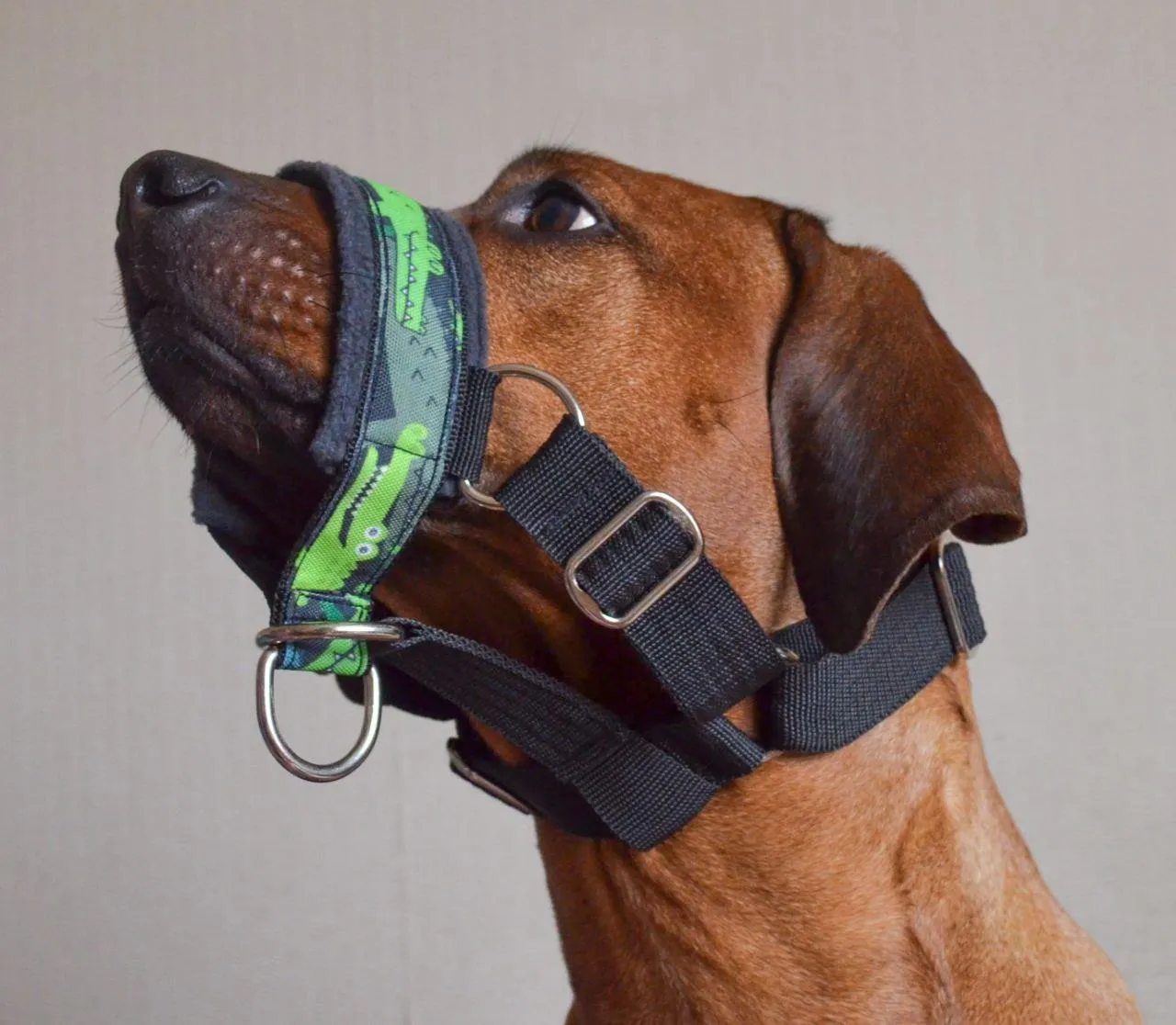 Александра Юдина