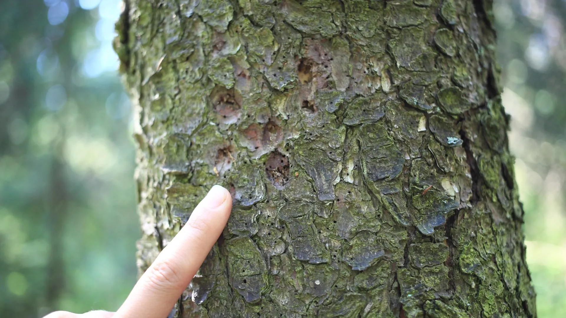 медиасток.рф