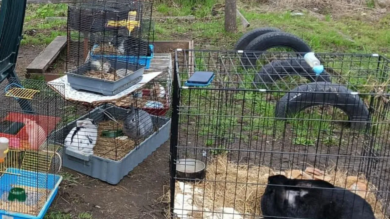 Фото: t.me/gku_mo_mosoblpojspas