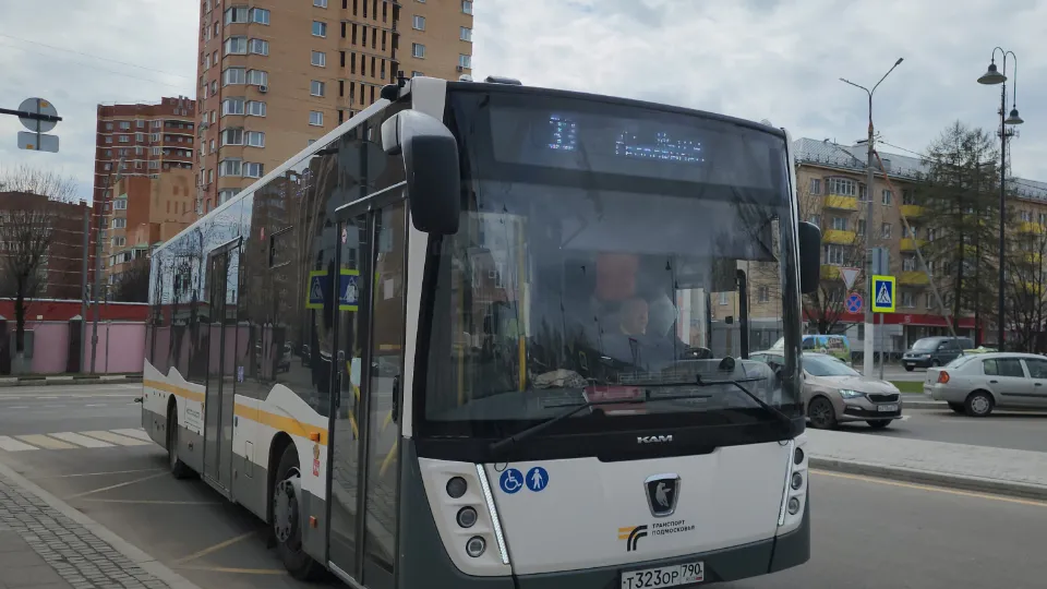 Фото: МедиаБанк Подмосковья/Екатерина Морозова