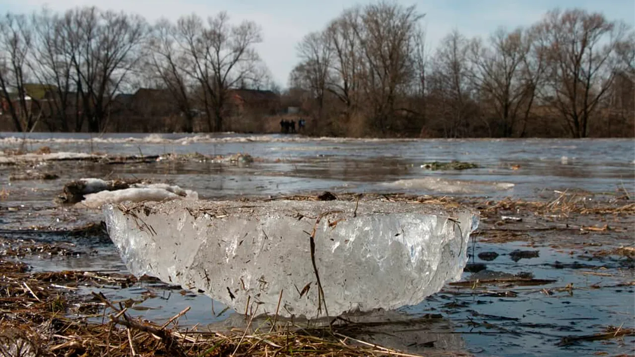 REGIONS/Евгений Мазепов