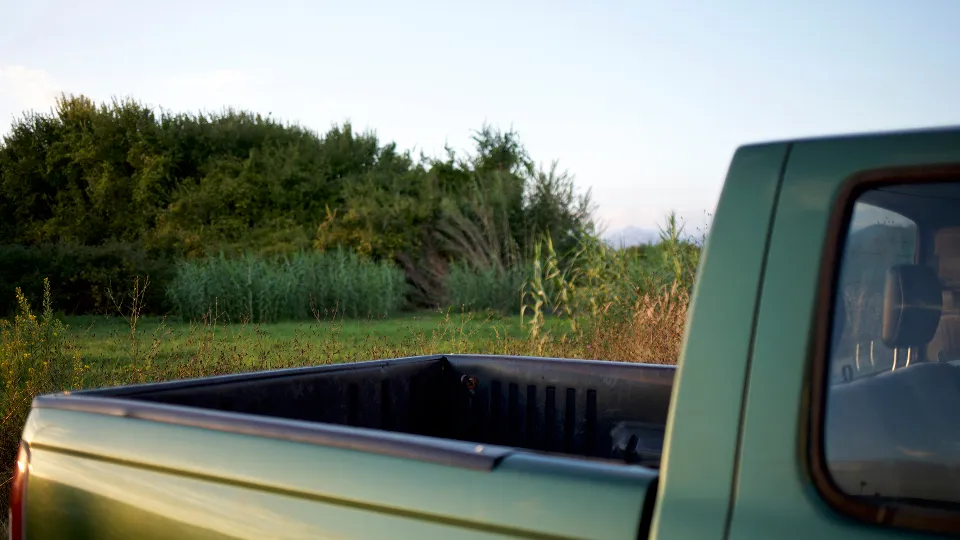 Фото: istockphoto.com