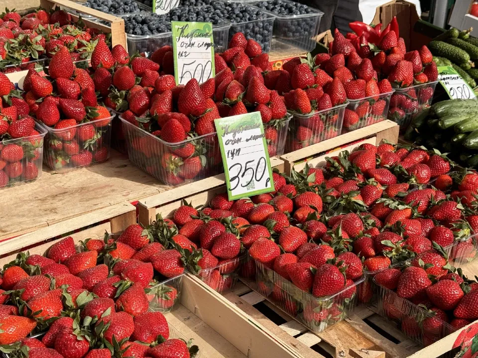 Фото: МедиаБанк Подмосковья/Мария Шматкова