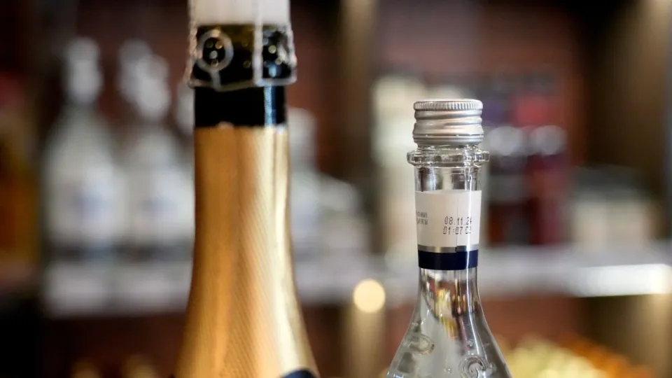 Фото: МедиаБанк Подмосковья/Дмитрий Зайчиков