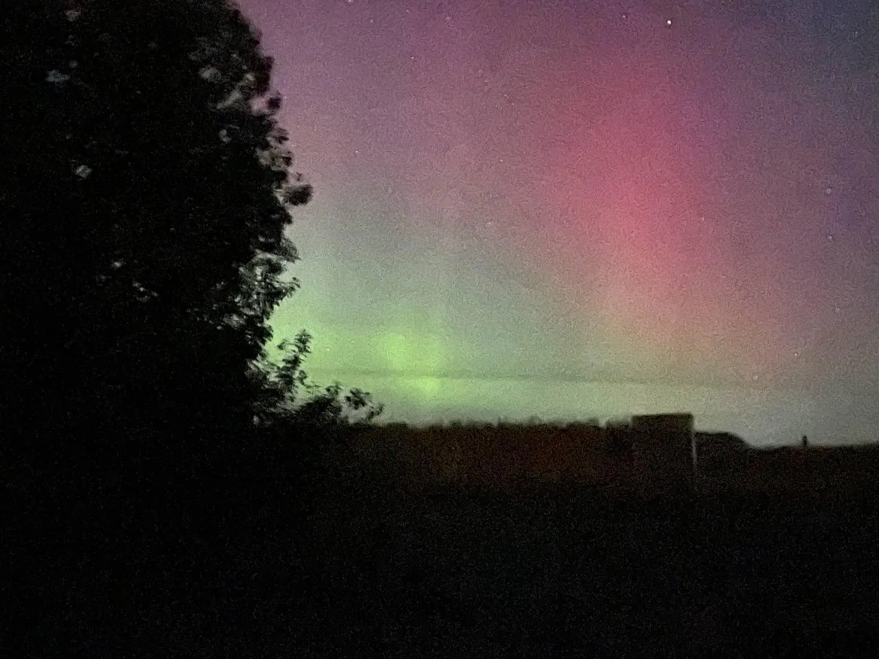 Дарья Леонова