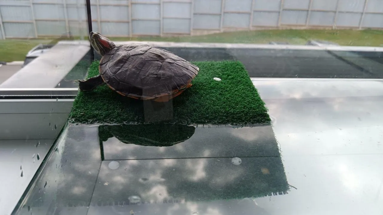 Фото: Минчистоты МО