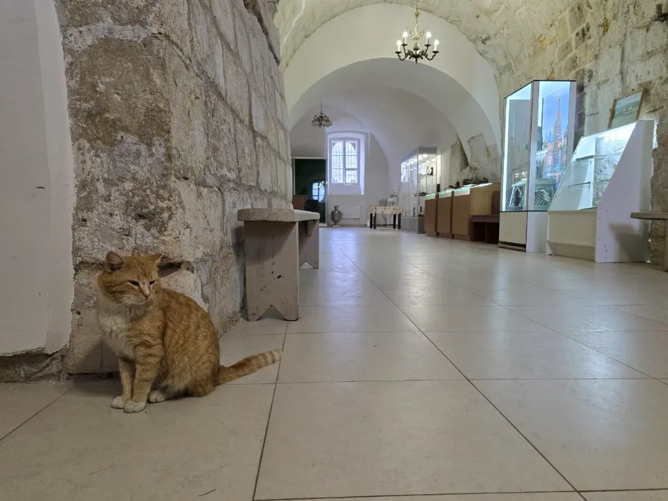 Фото: МедиаБанк Подмосковья/Яна Шаливская