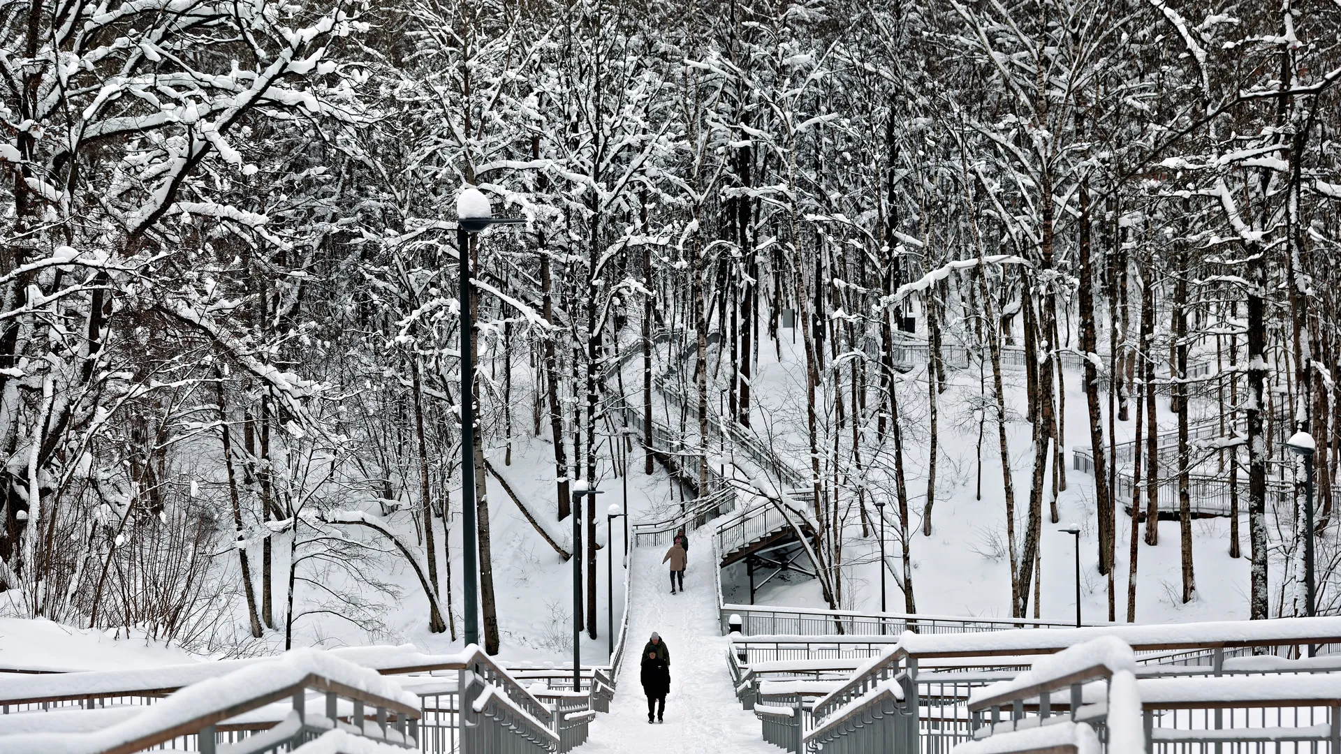 Эндокринолог рассказал о пользе прогулок после еды