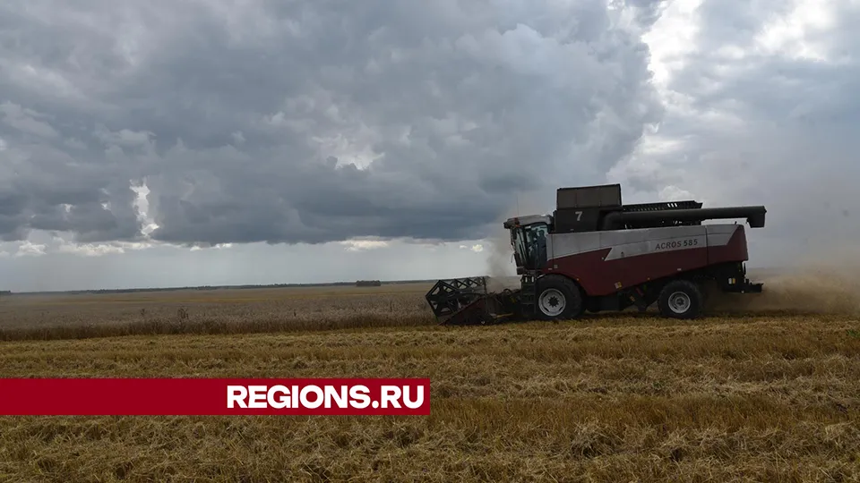 Фото: Владимир Останин