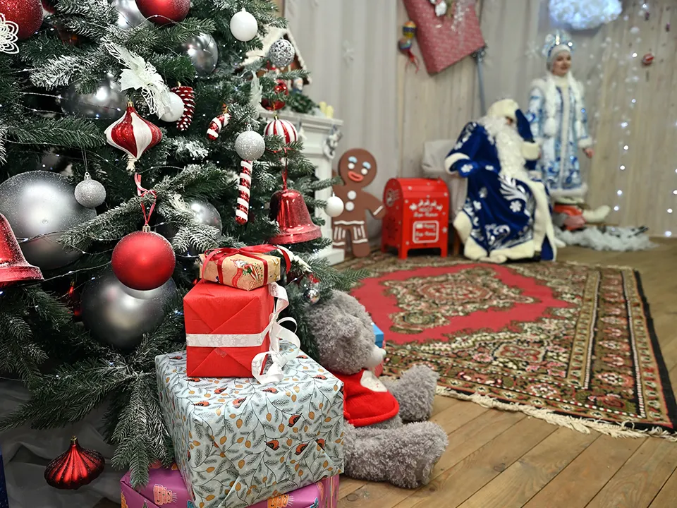 МедиаБанк Подмосковья/Сергей Демянюк