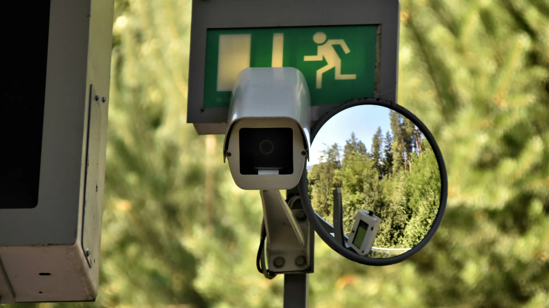 Фото: unsplash.com