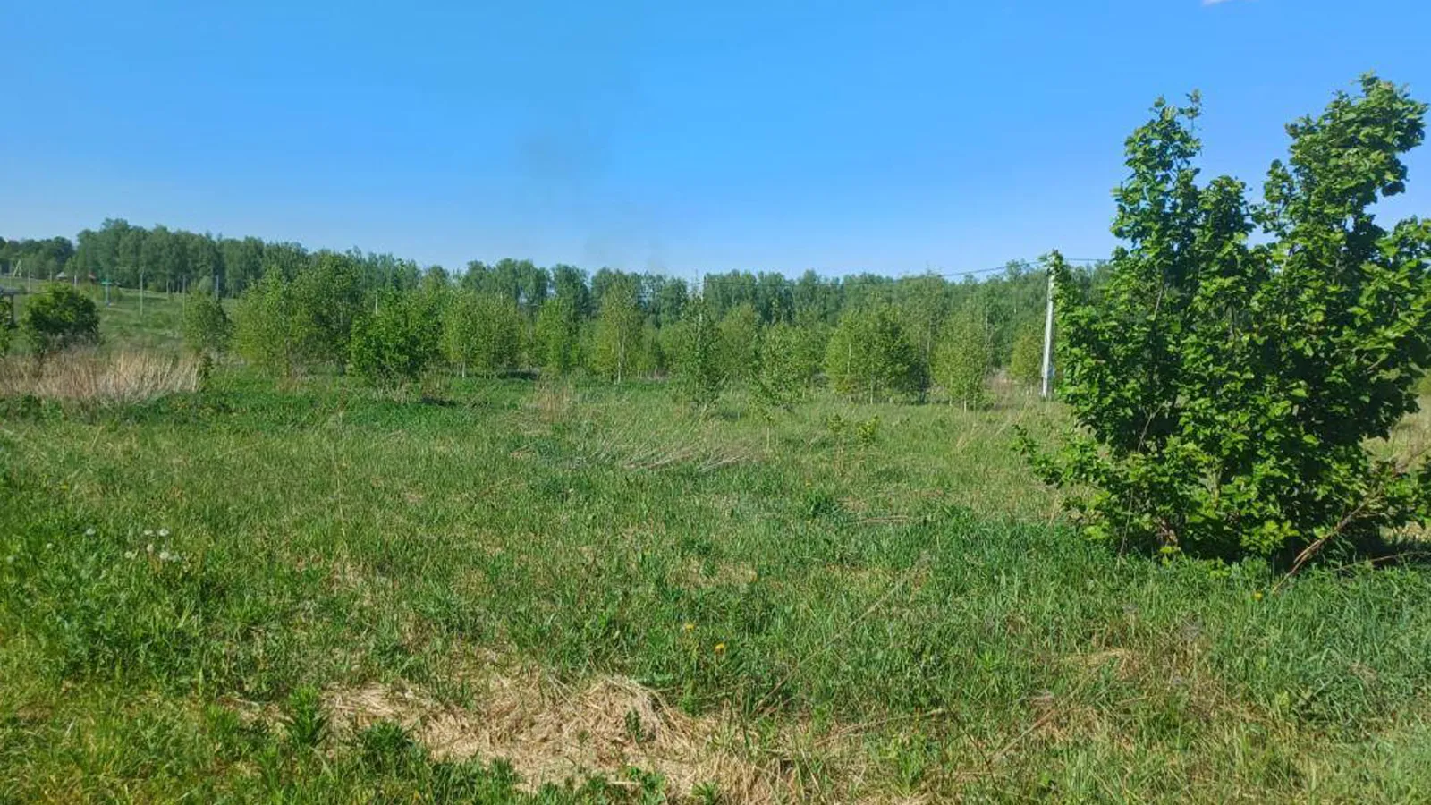 Фото: Единый портал торгов МО ЕАСУЗ