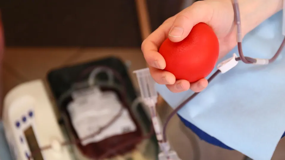 Фото: администрация г.о. Реутов