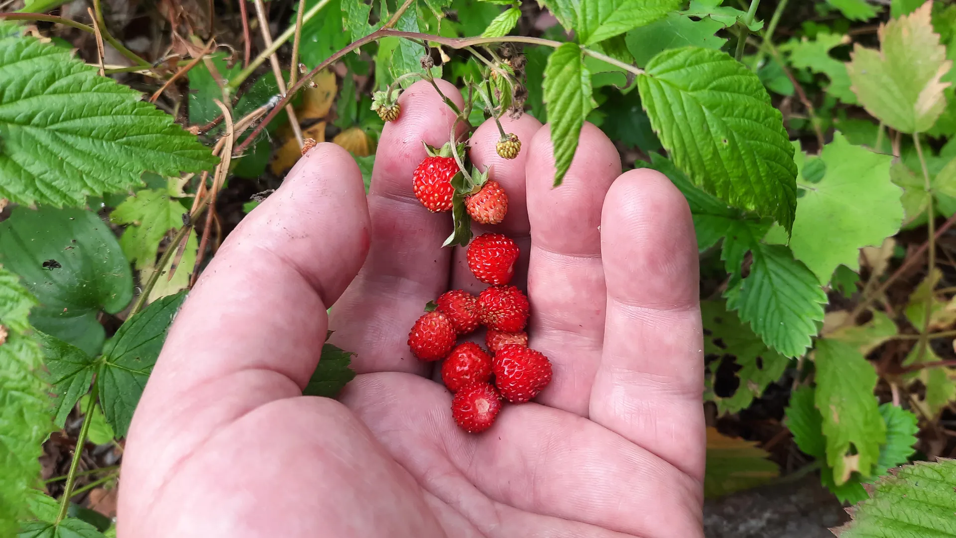 Фото: Михаил Мартыненко