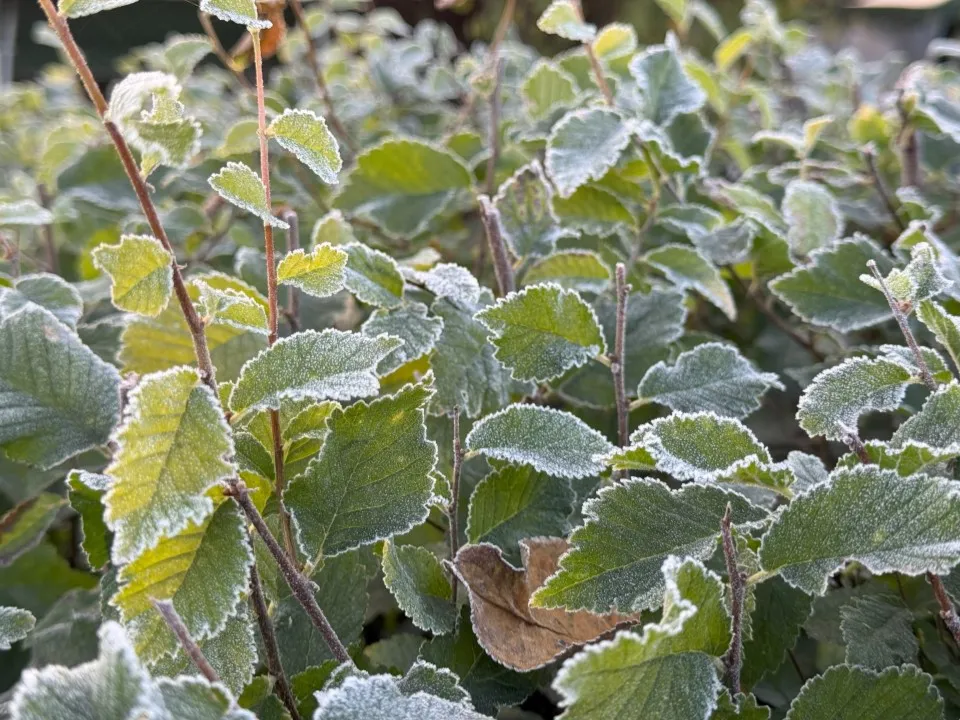 Фото: REGIONS/Илья Попов