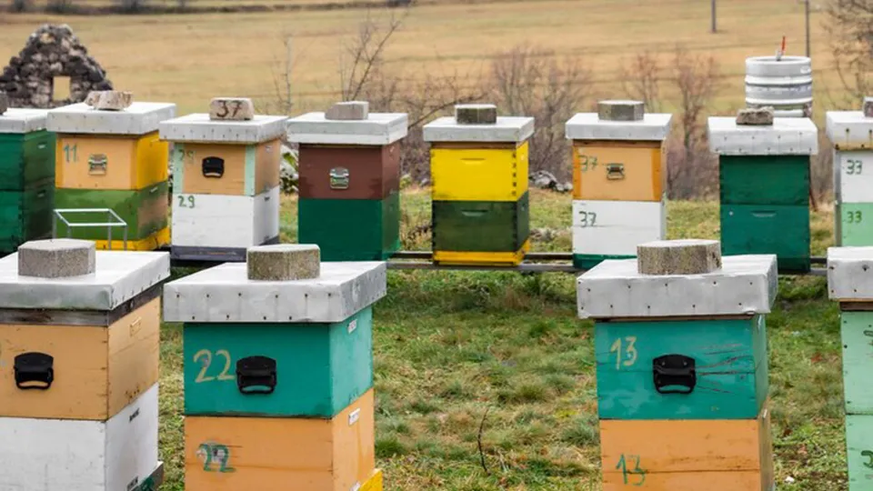 Фото: freepik.com