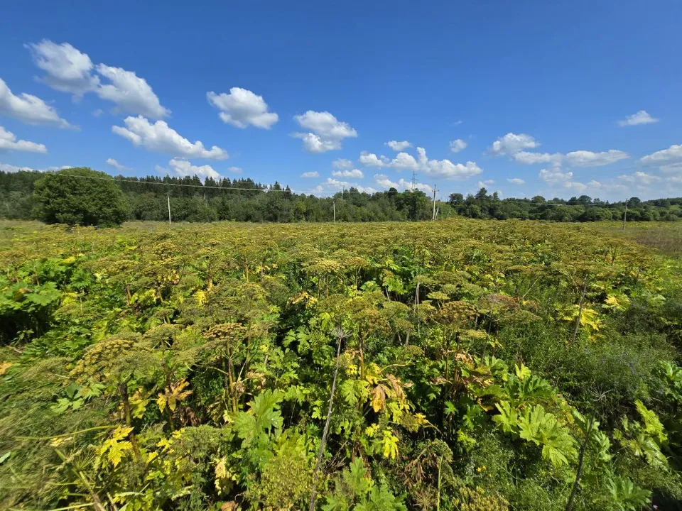 Фото: МедиаБанк Подмосковья/Яна Шаливская