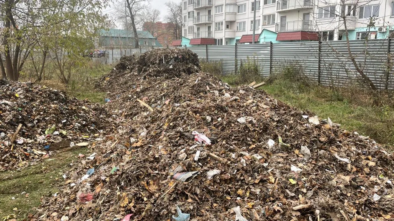 Число несанкционированных свалок снижается в Подмосковье