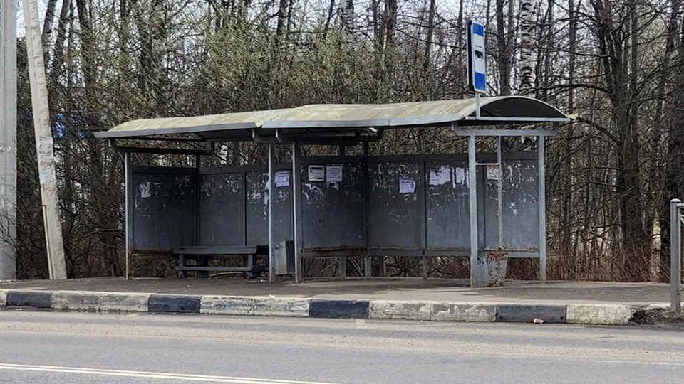 Фото: Хавива Фонина