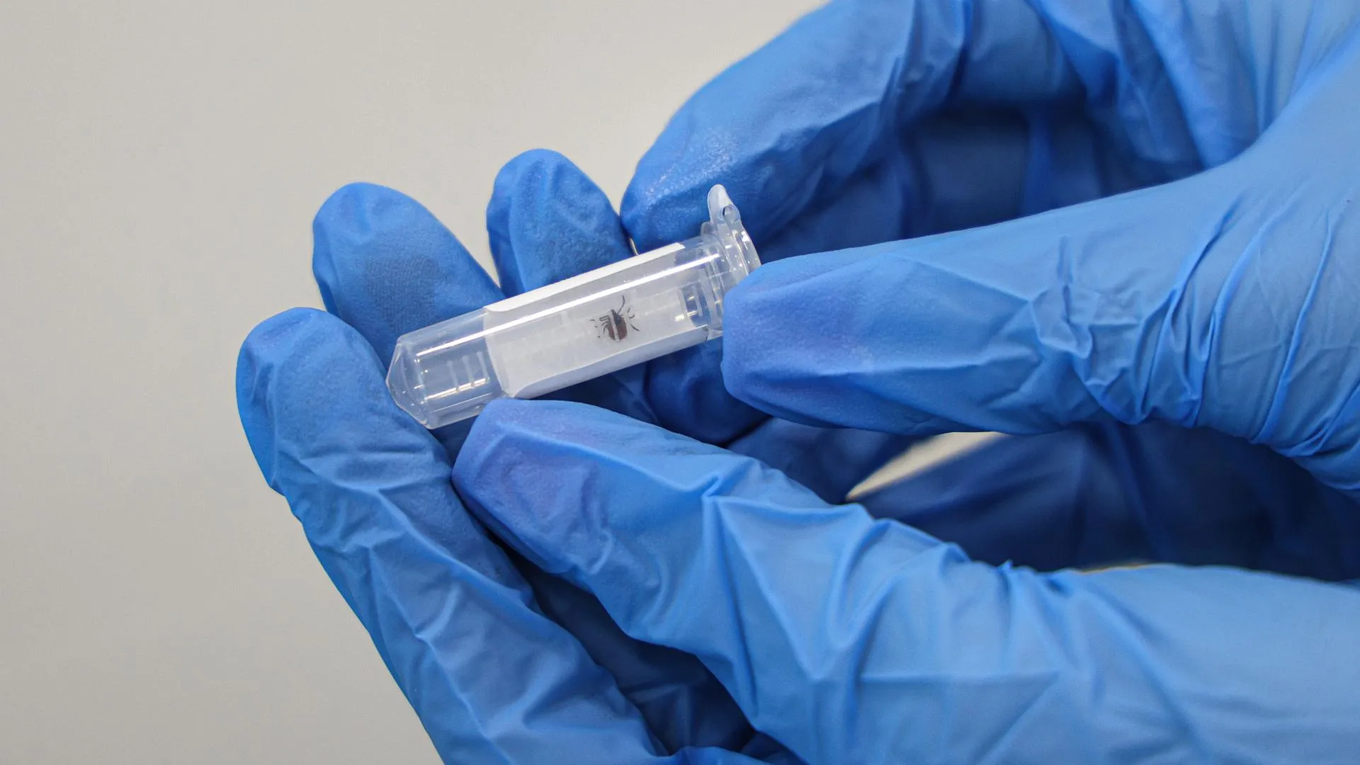 Andrey Titov/Business Online