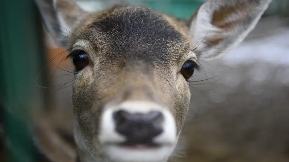 Фото: медиасток.рф