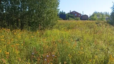 Комитет по конкурентной политике Московской области