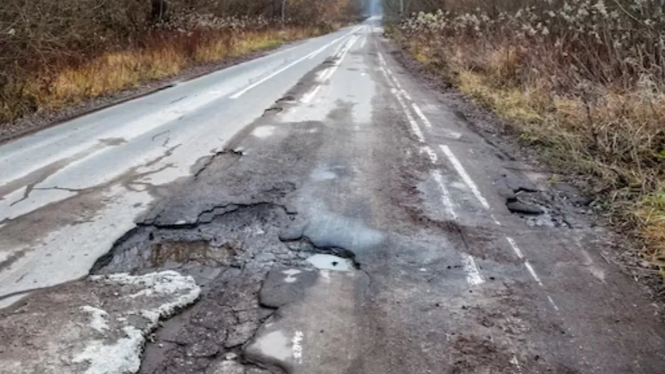 Фото: freepik.com