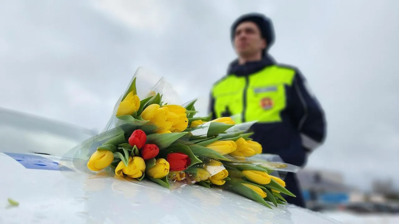 МедиаБанк Подмосковья/Екатерина Данилина