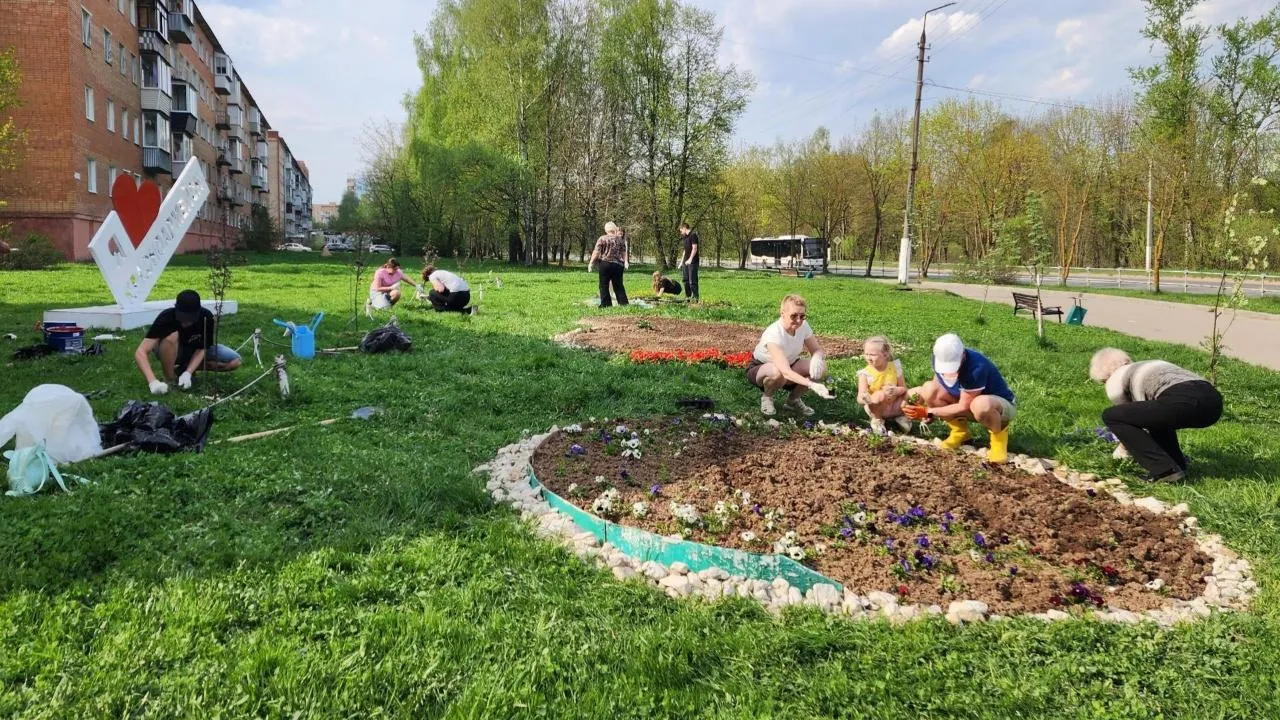 Картинка