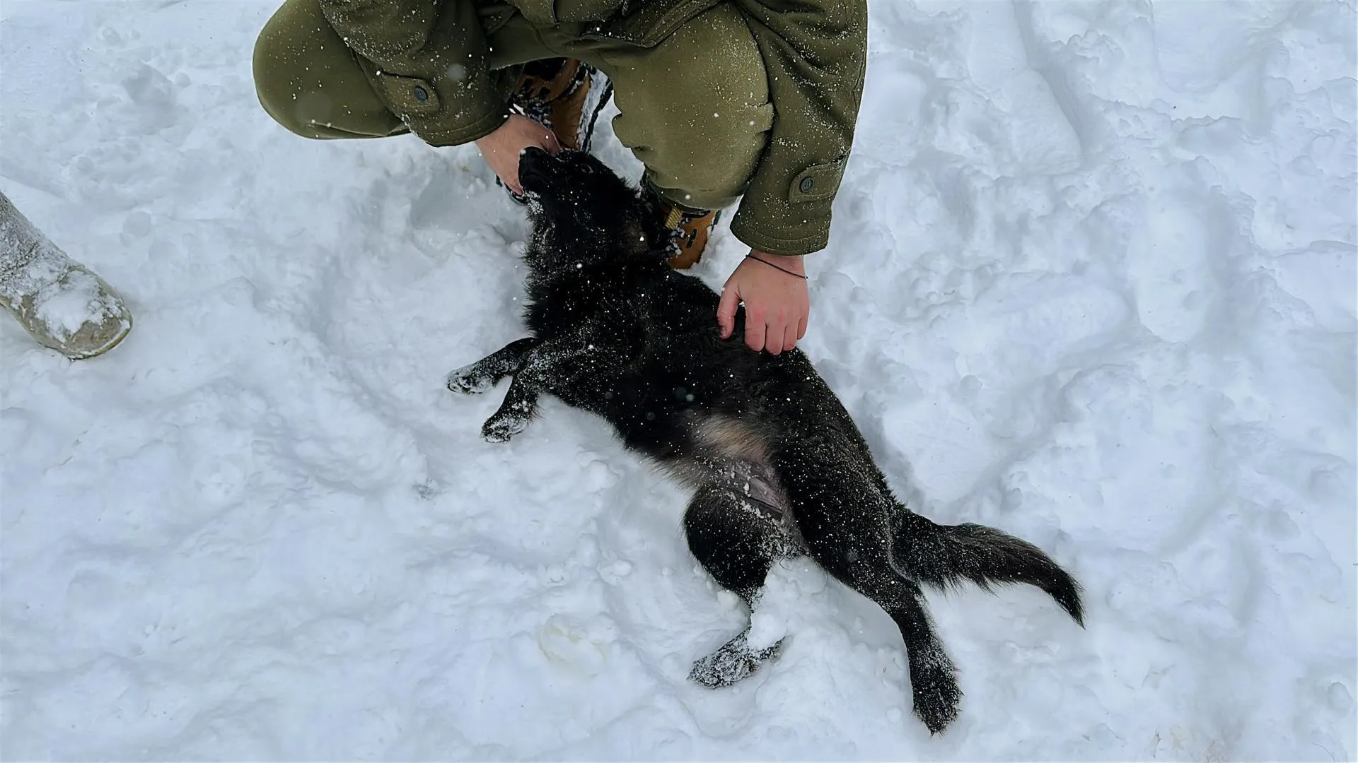 Кристина Тришина