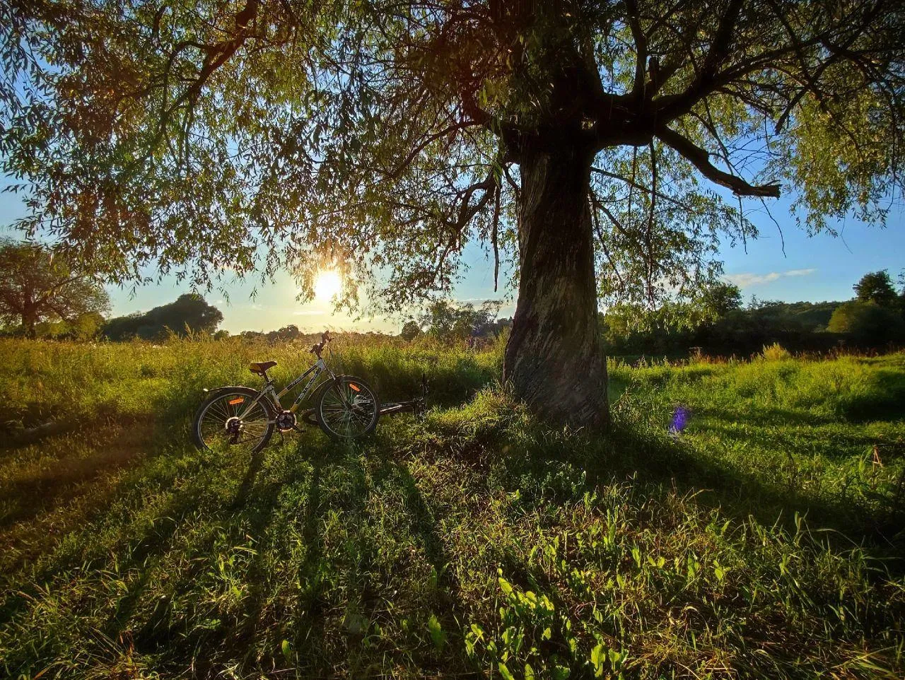 Ангелина Максимова / Возле деревни Шихово