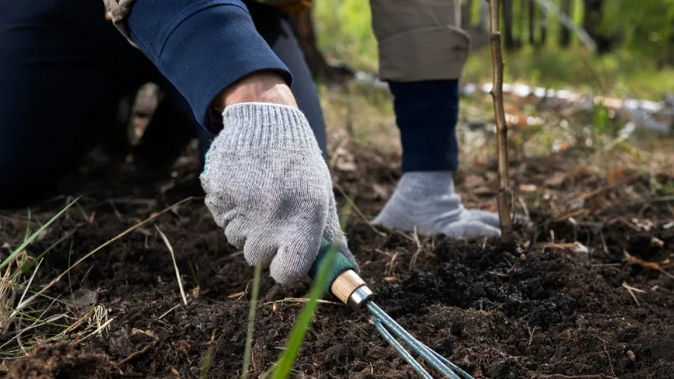 Фото: freepik.com