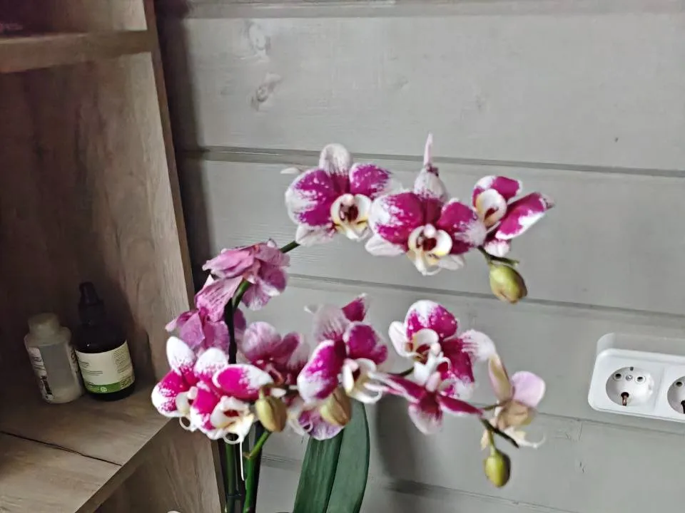 Фото: REGIONS/Максим Зубарев