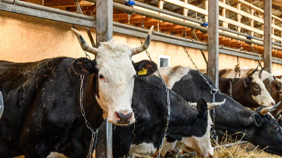 Фото: медиасток.рф