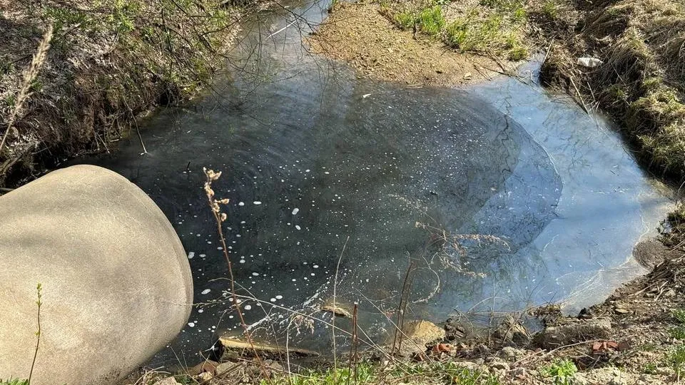 Фото: управление экологии городского округа Мытищи