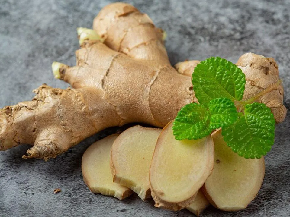 Слабость, головокружение, аллергия: кому нельзя худеть с помощью имбиря