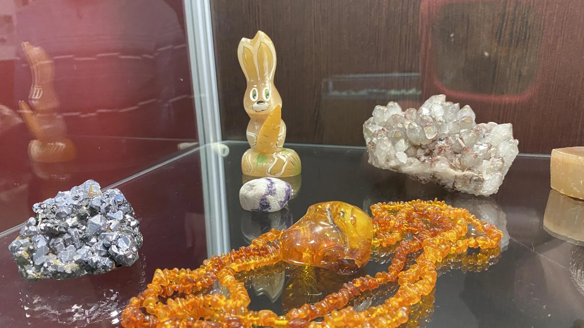 Дарья Шапочкина