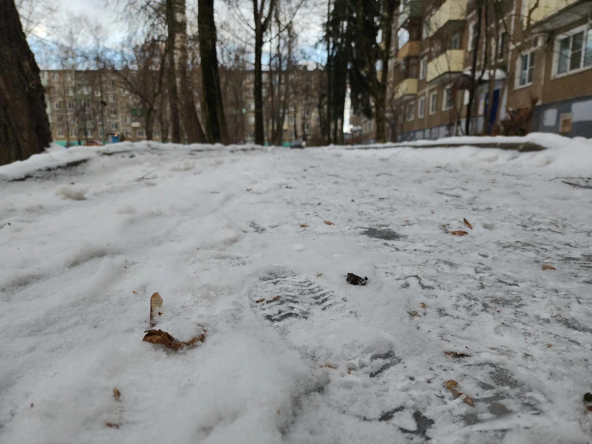 В. Соловьёва