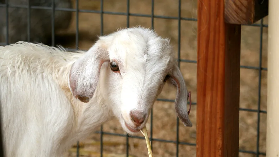 Фото: unsplash.com