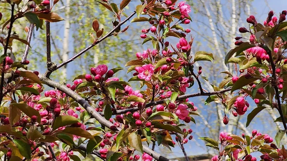 Фото: Елена Шумакова