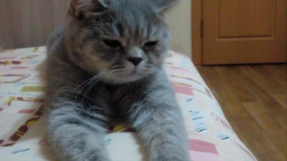 Фото: Таисия Малахова