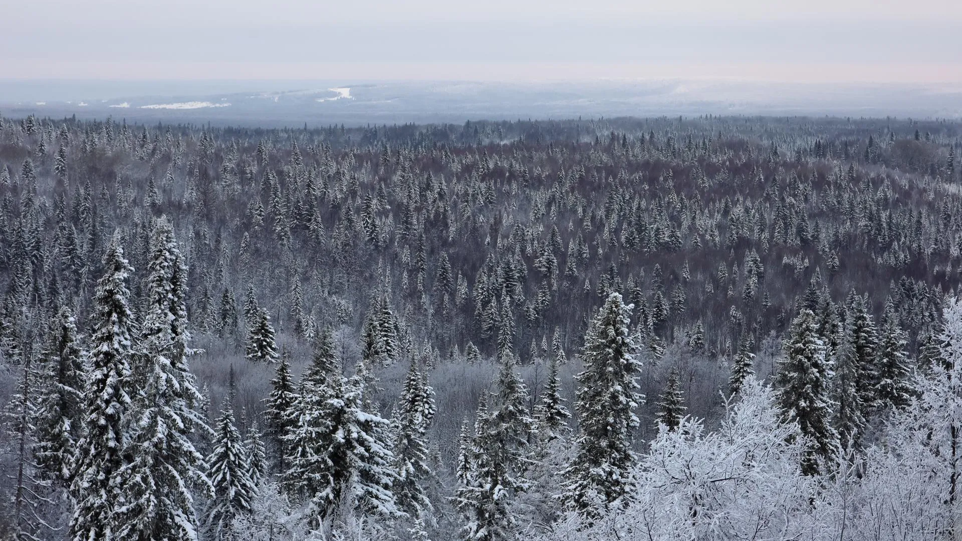 Elena Mayorova/Global Look Press