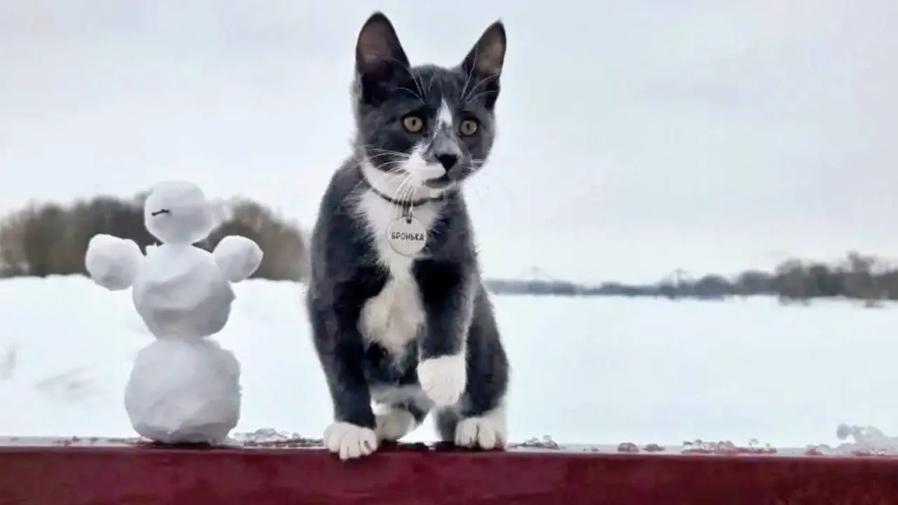 парк «Бронницкий луг»