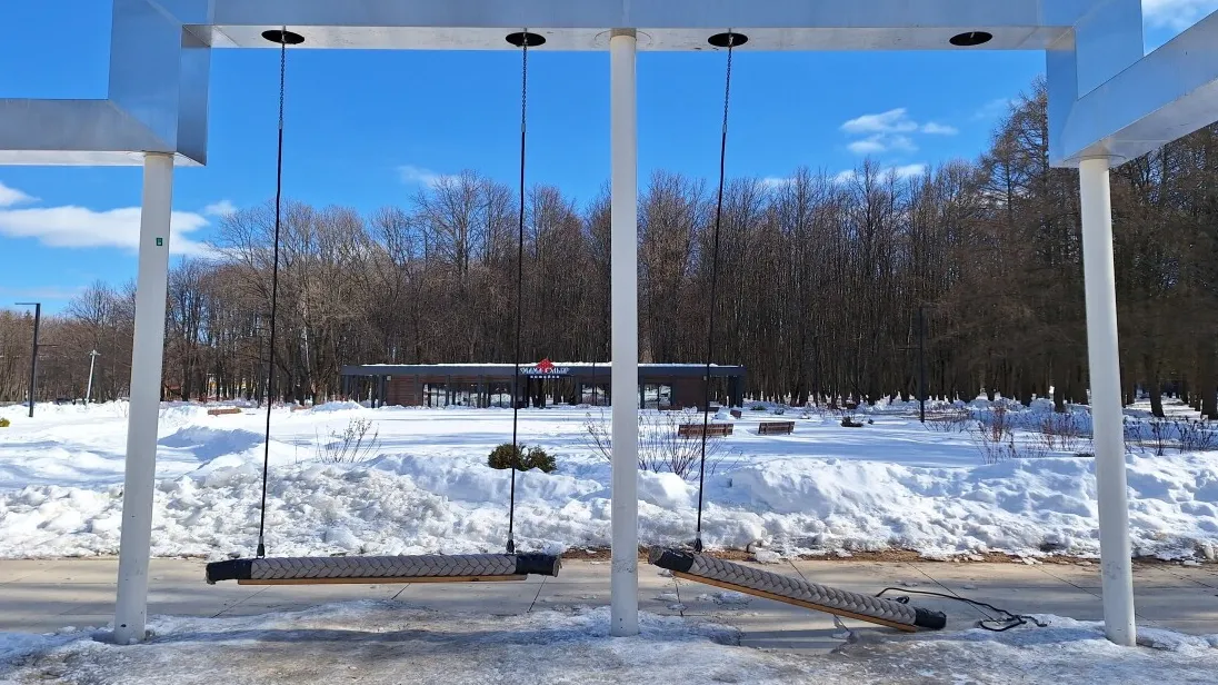 Фото: группа VK «Подслушано в Пущино»