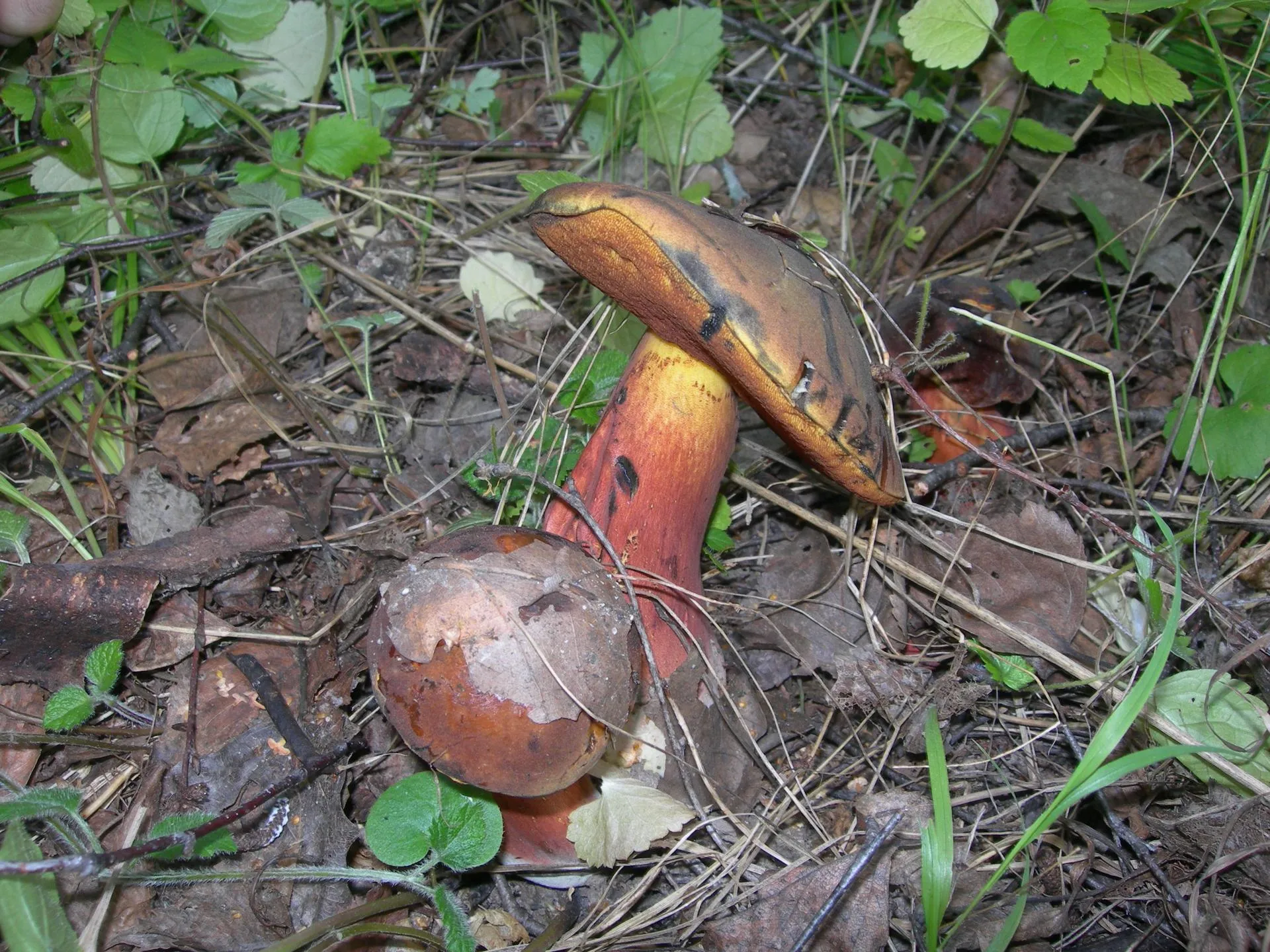 Министерство экологии и природопользования Московской области