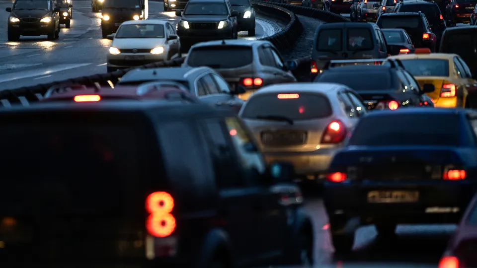 Фото: Медиаархив Подмосковья