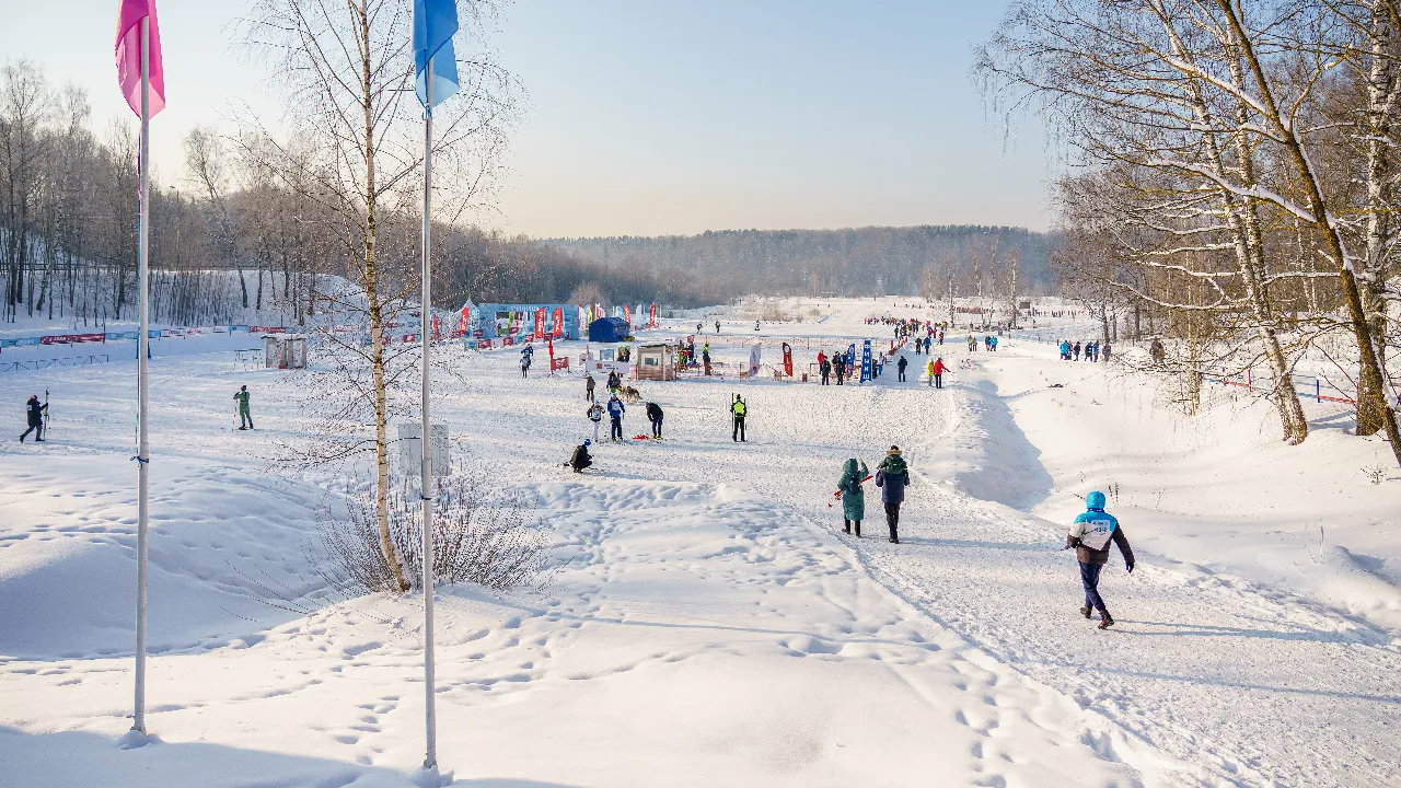 медиасток.рф