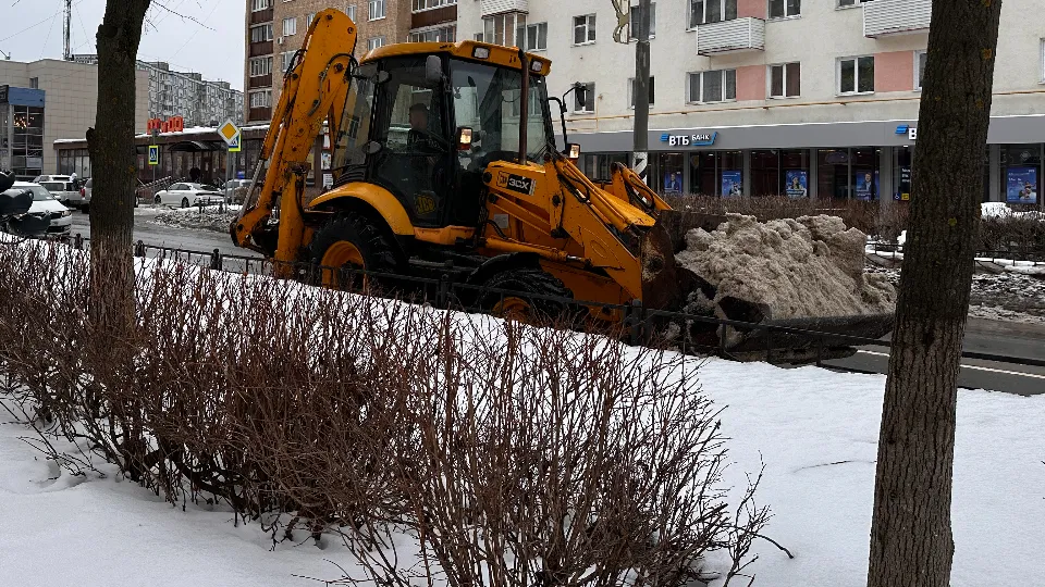 Фото: МедиаБанк Подмосковья/Данила Кирьянов