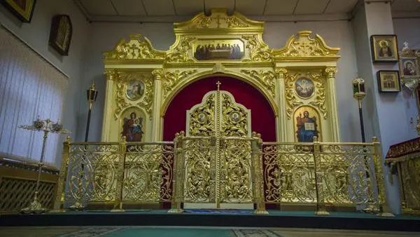 Павел Попов / Подмосковье Сегодня
