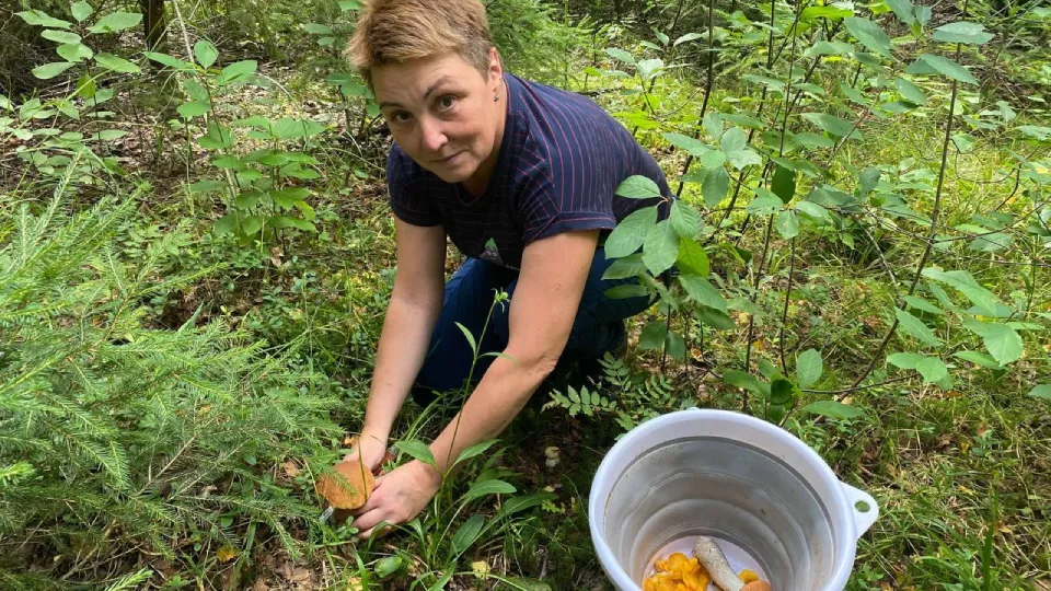 Фото: Иван Петрушин